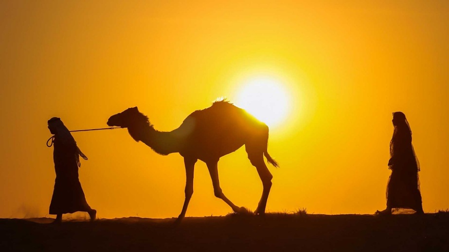 Opplevelser i Dubai