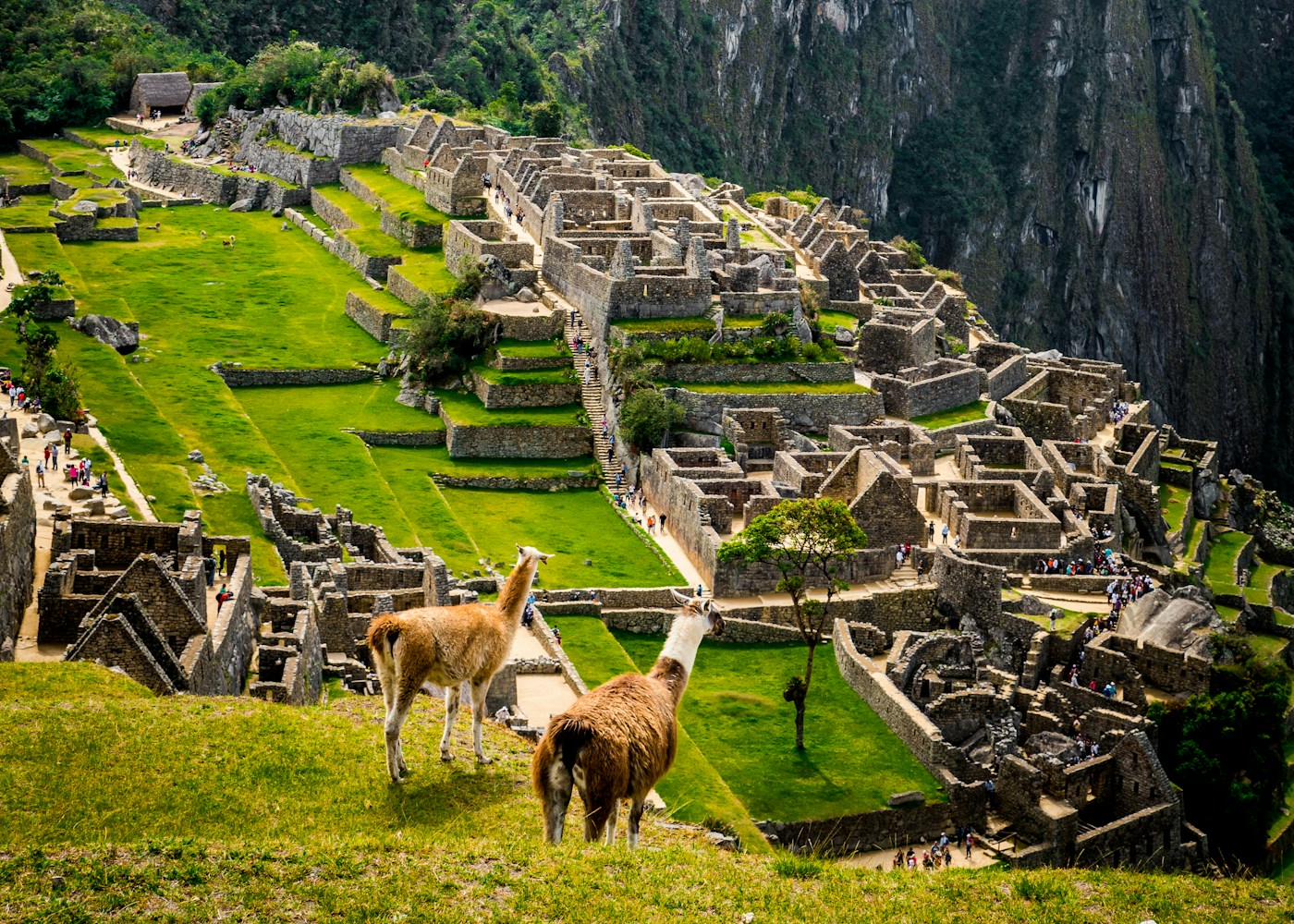 Reise til Peru